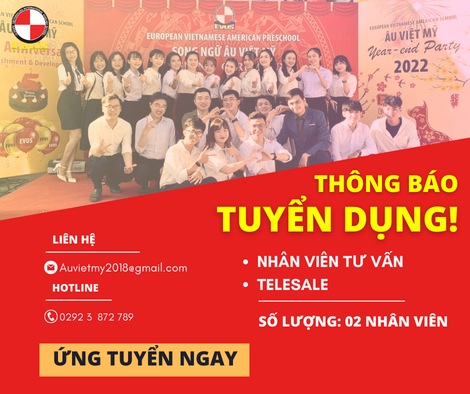 lĩnh vực hoạt động